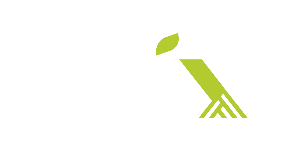 Logo_Raix-negativo
